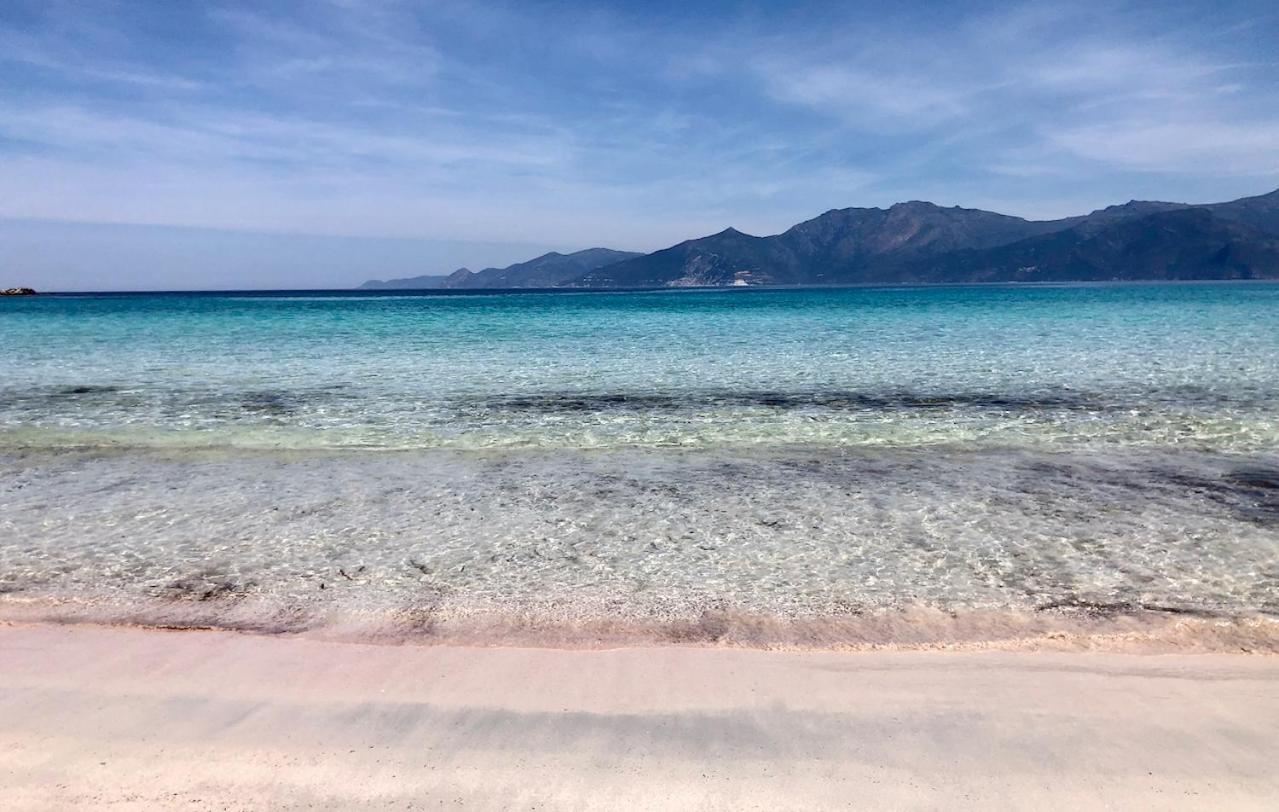 Studio, Vue Sur Mer Et Montagne Saint-Florent  Zewnętrze zdjęcie